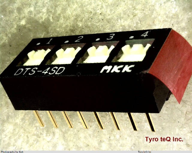 DTS-4SD