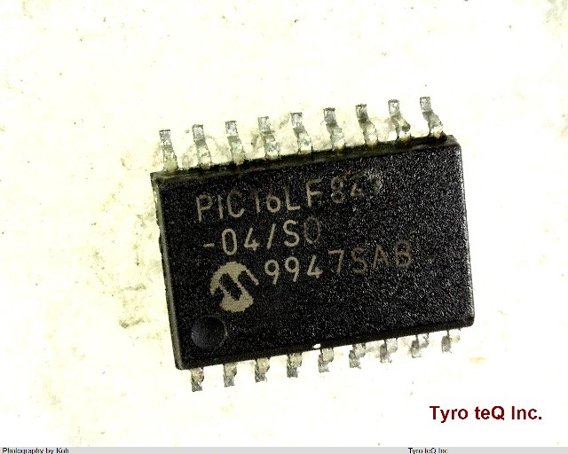 PIC16LF8404SO
