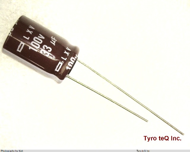 ELXV101ELL330MJ16S