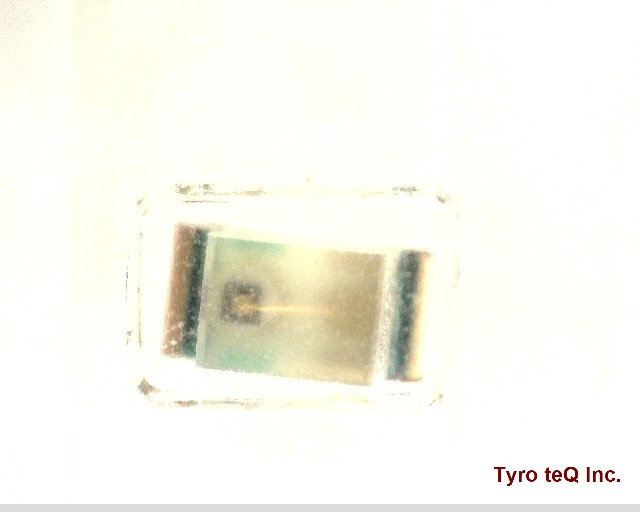 YPY1111C-TR