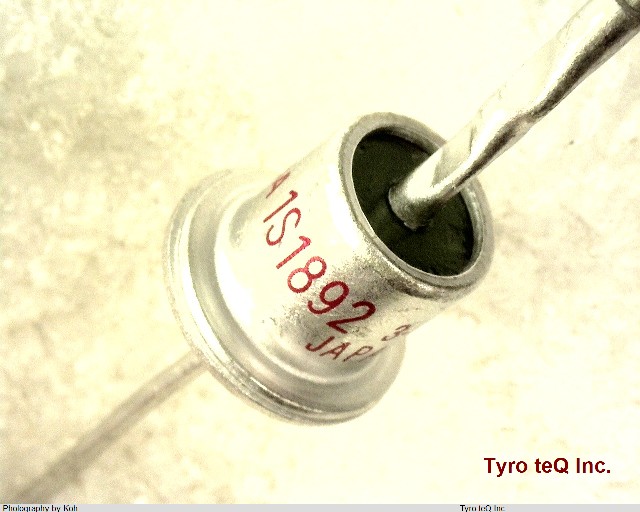 1S1892