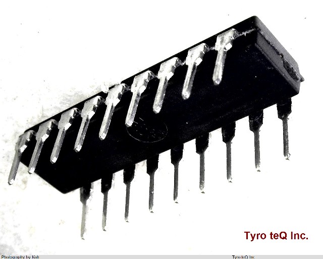 L6202