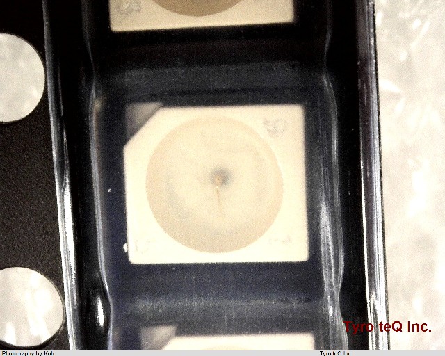 TLYE1100BT11