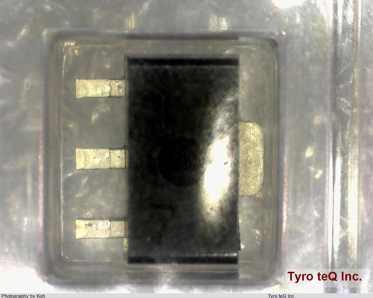 RD100P-T1-AZ