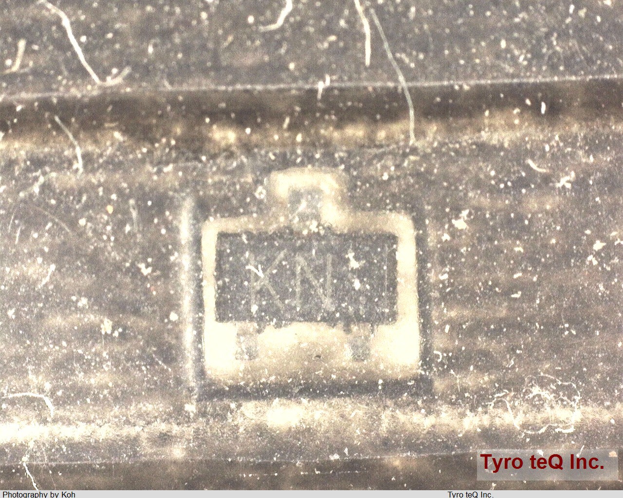 2SK3019TL