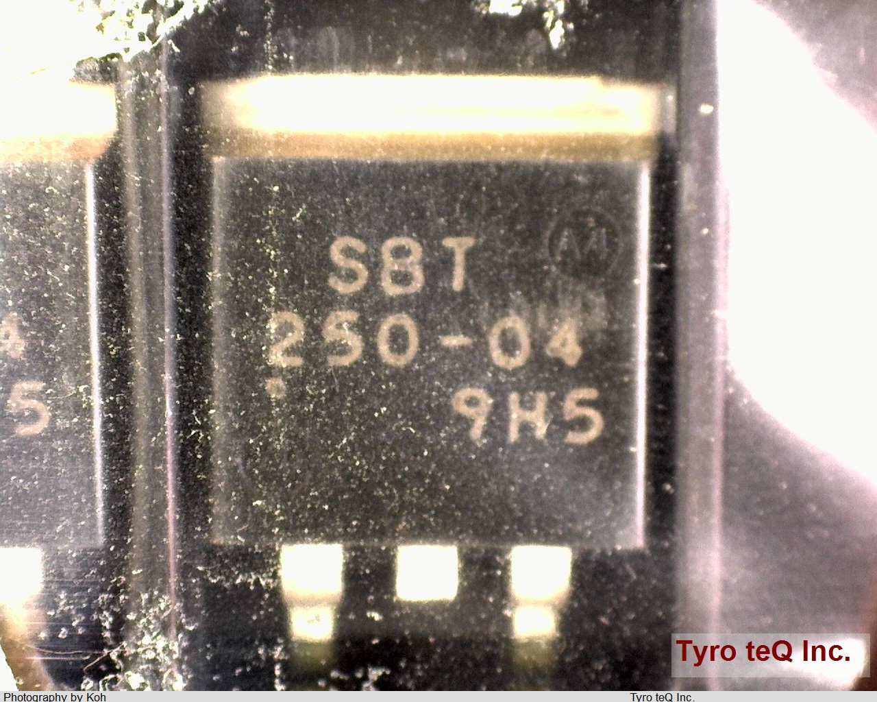 SBT250-04Y-DL-E