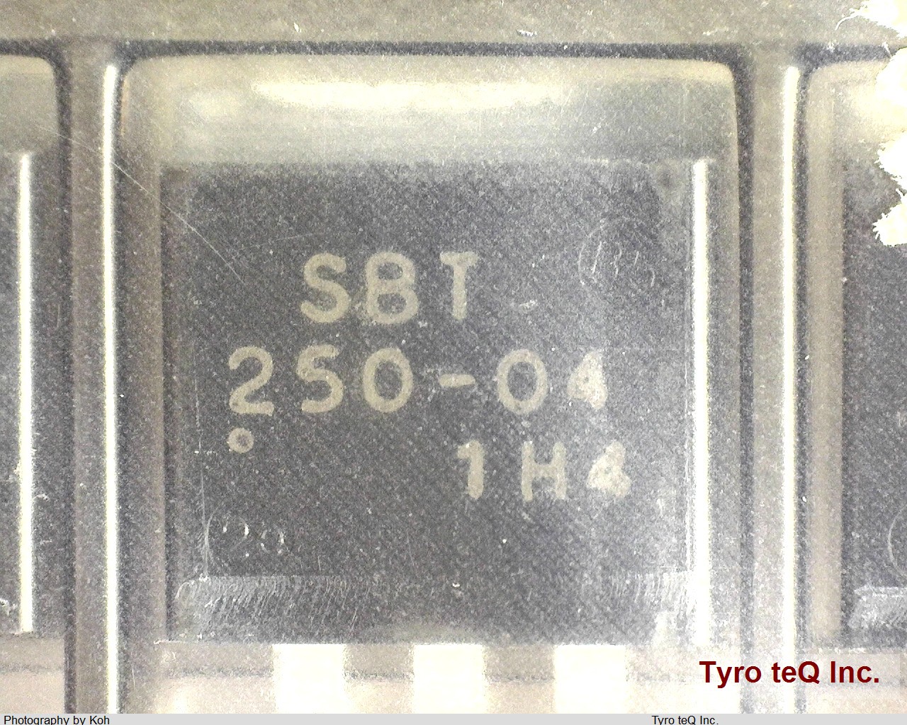 SBT250-04Y-DL-E