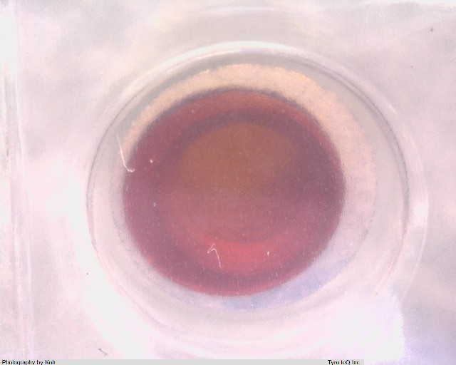 TH-1.6-1.5-M2.6