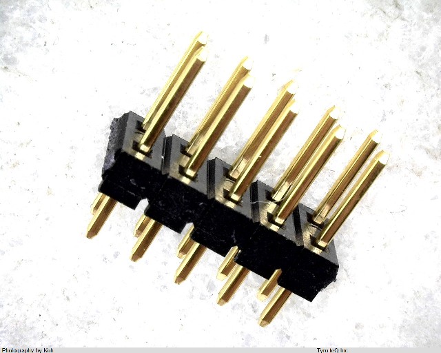 XG8W-1031