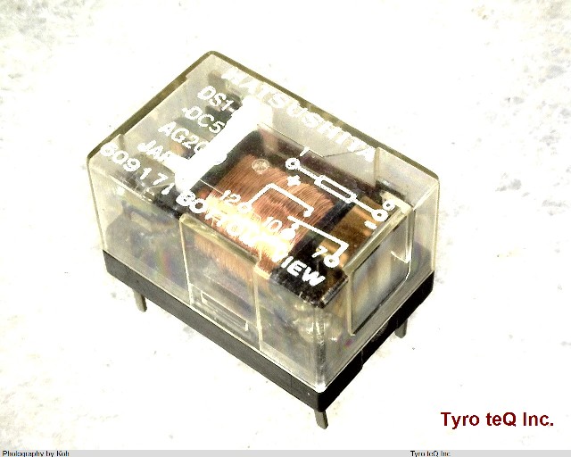 DS1-M DC5V