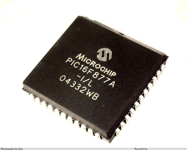 PIC16F877AIL