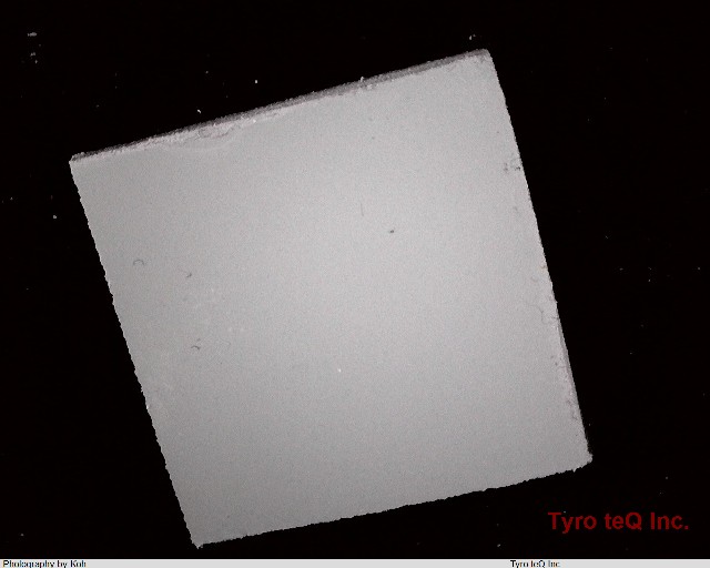 TC-200CAT-20(28×28)
