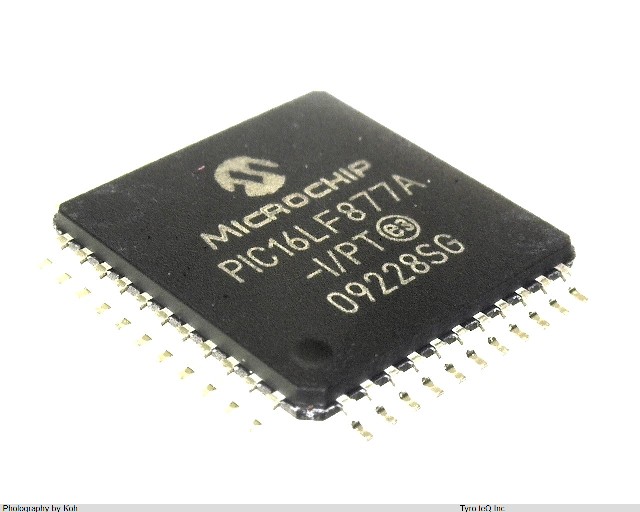 PIC16LF877A-I/PT