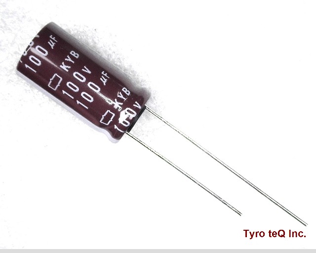 EKYB101ELL101MJ20S
