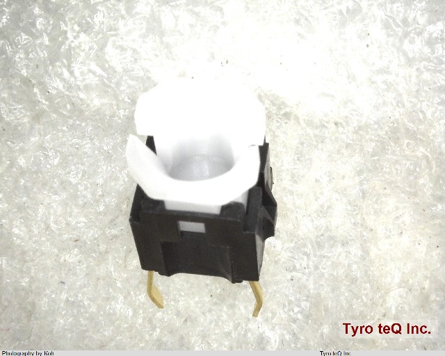 LTR1-01