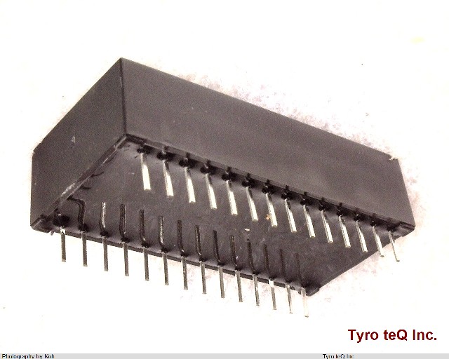 DS1230Y-100+