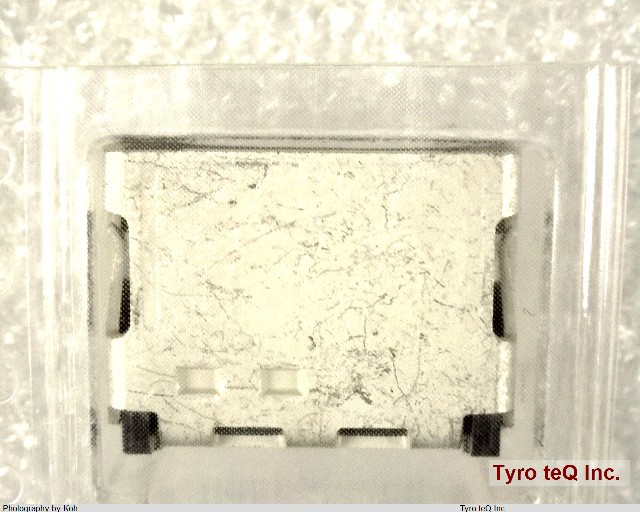 500254-1927
