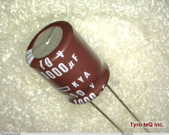 EKYA100ELL102MJC5S