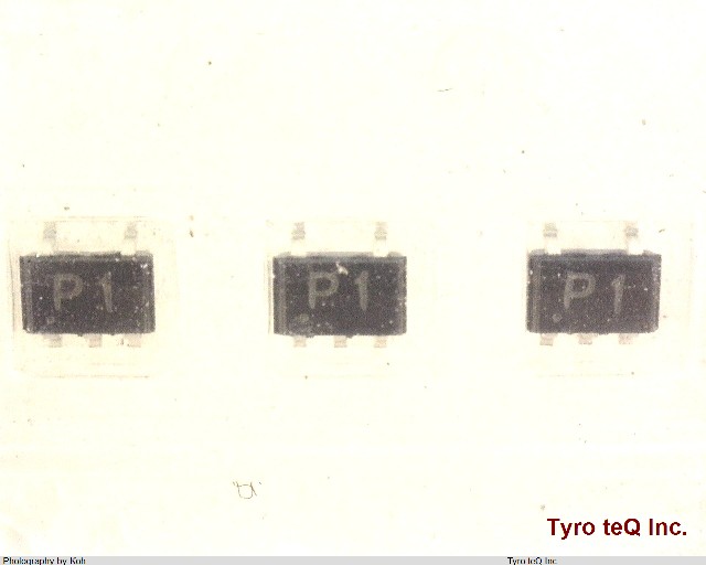 RT2P03M-T111-1