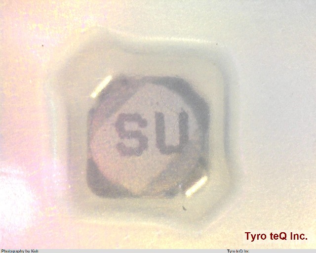CDRH2D18/LDNP-470NC