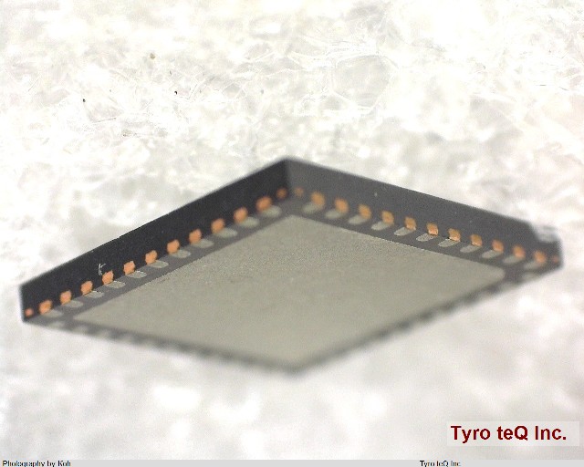 PIC32MX170F256D-50I/ML