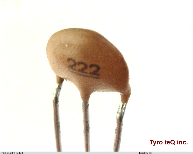 DS306-55B222M50