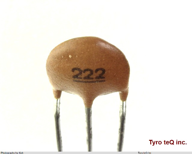 DS306-55B222M50