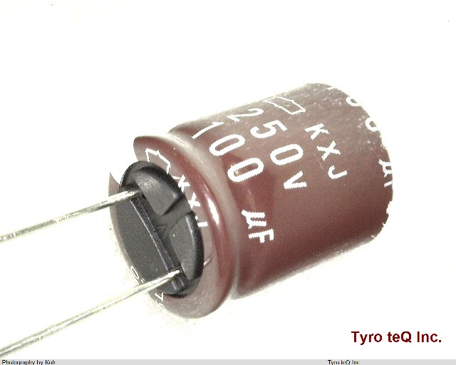 EKXJ251ELL101ML20S
