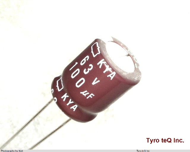 EKYA630ELL101MJC5S