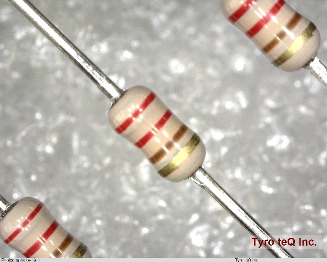 ERDS2TJ221T
