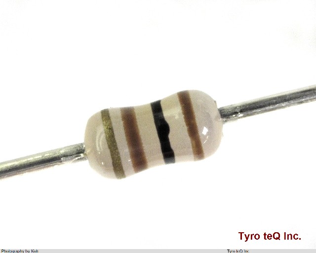 ERDS2TJ101T