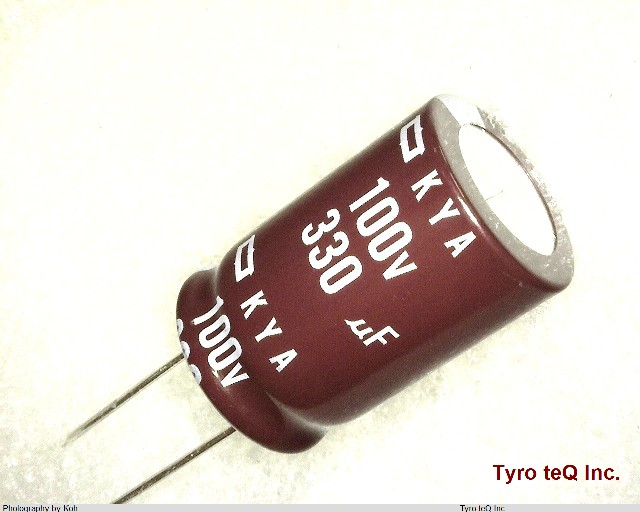 EKYA101ELL331ML25S