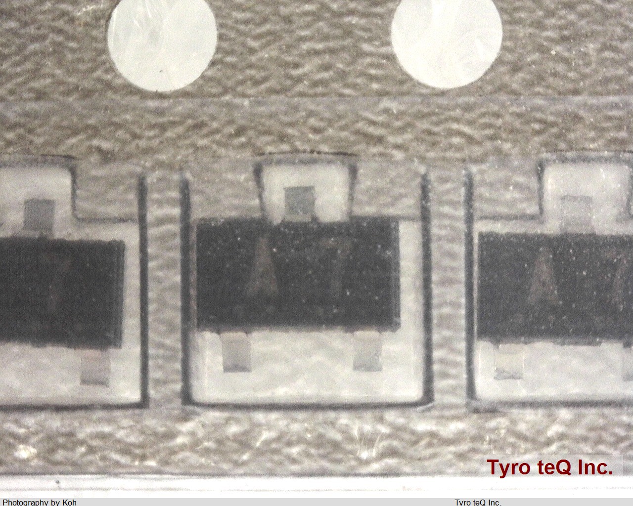 1SS123-T1B