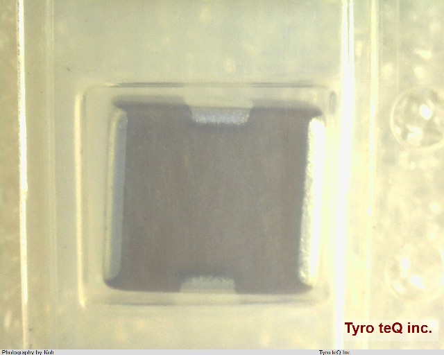 NFM55PC155F1H4