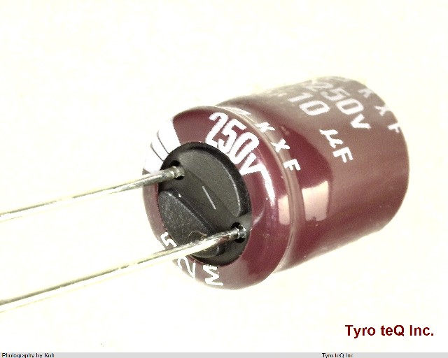 EKXF251ELL100MJC5S