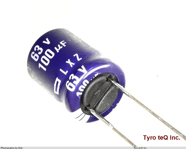 ELXZ630ELL101MJC5S