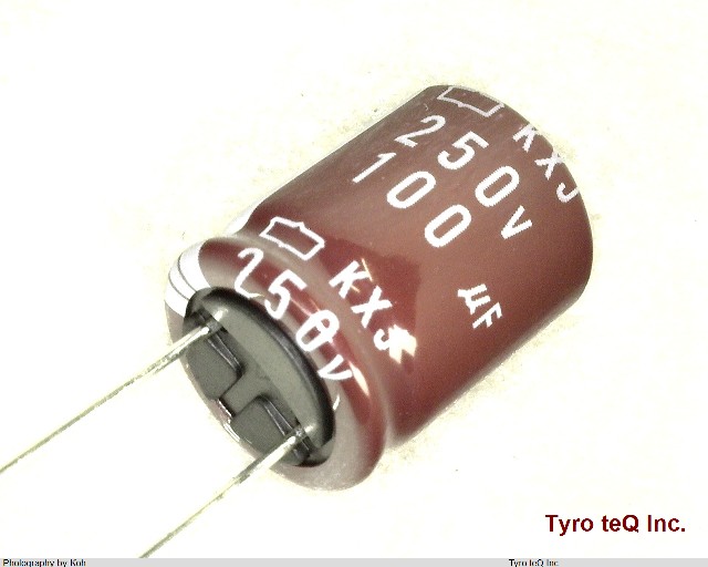 EKXJ251ELL101ML20S