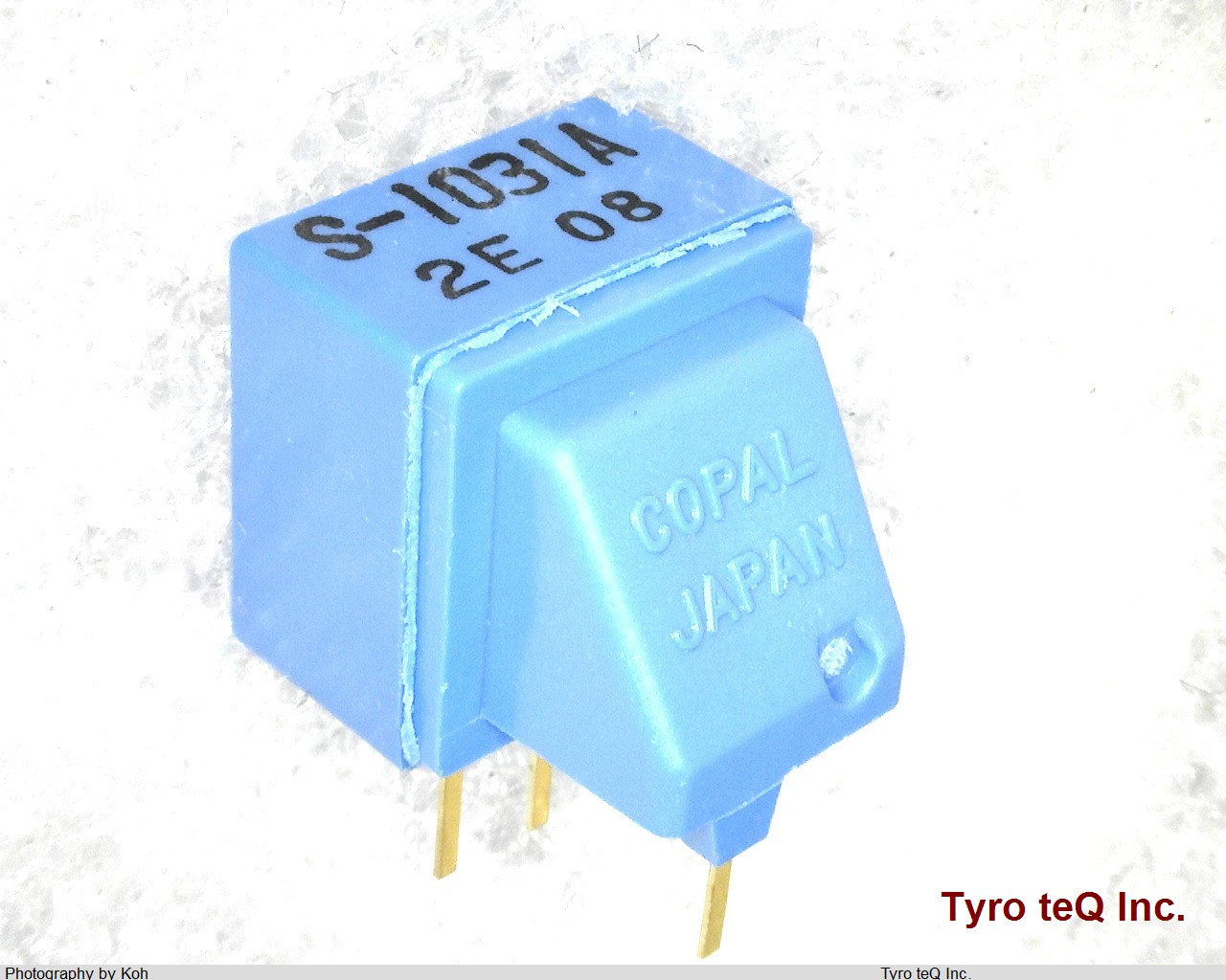 S-1031A