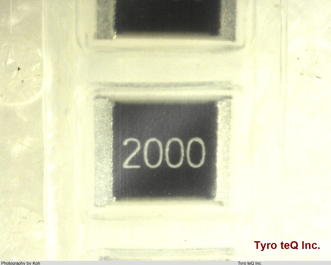 RR2632P-2000-D-T1-C