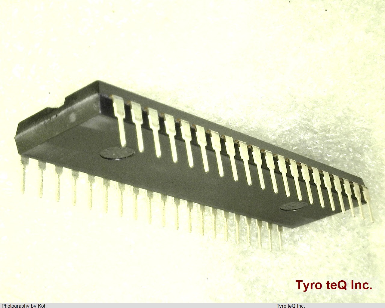 Z84C0008PEG