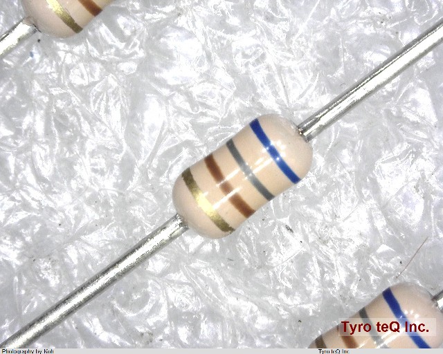 ERDS2TJ681T