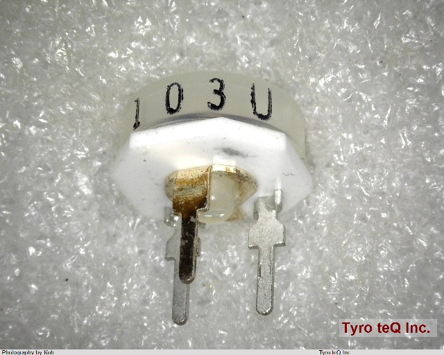 RGP102 B10K