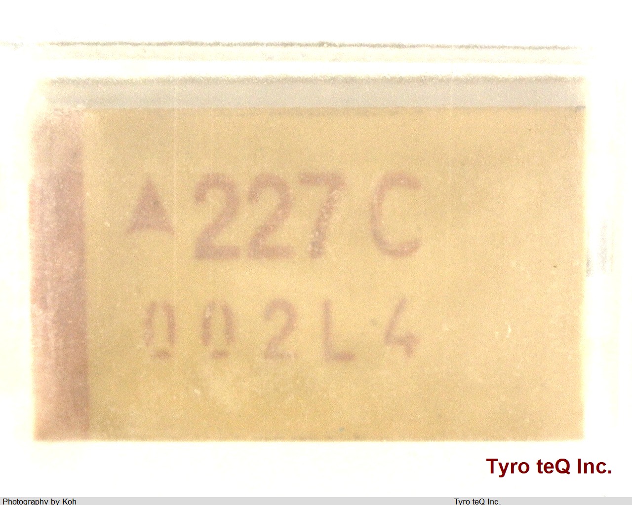 TPME227K016R0025