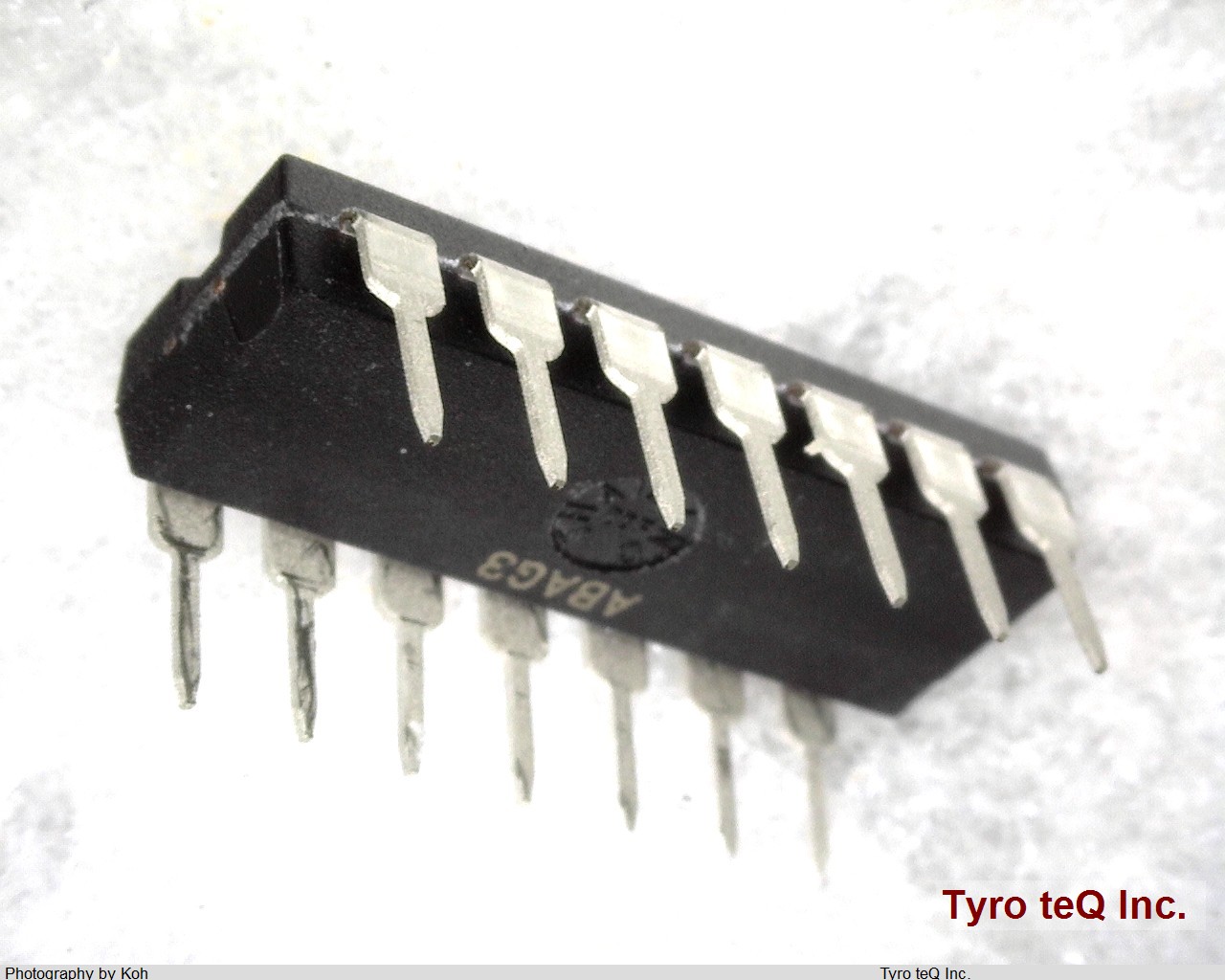 MCP3302-CI/P