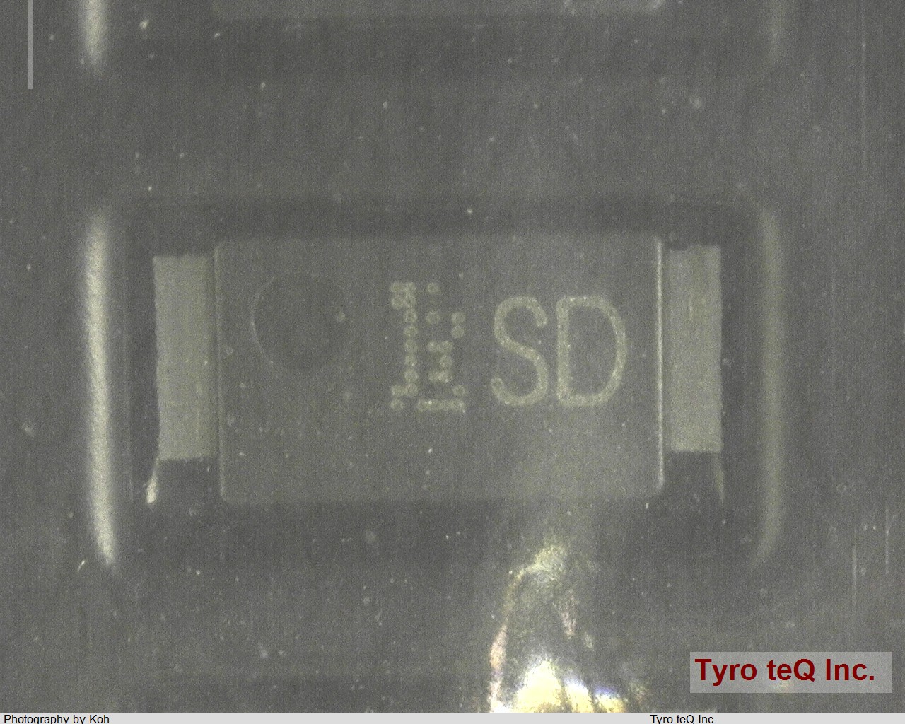 CMS14(T2L,TEM,Q)