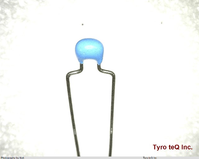 RDE5C1H101J0K1H03B