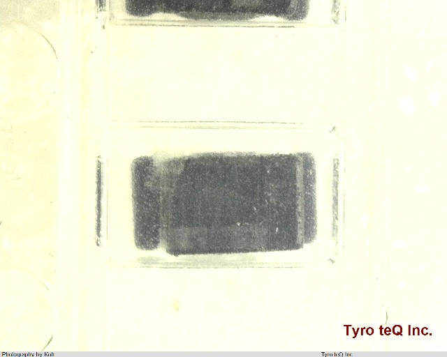 LQH31MN101K03L