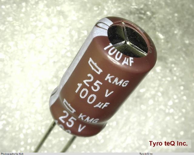 EKMG250ELL101MF11D
