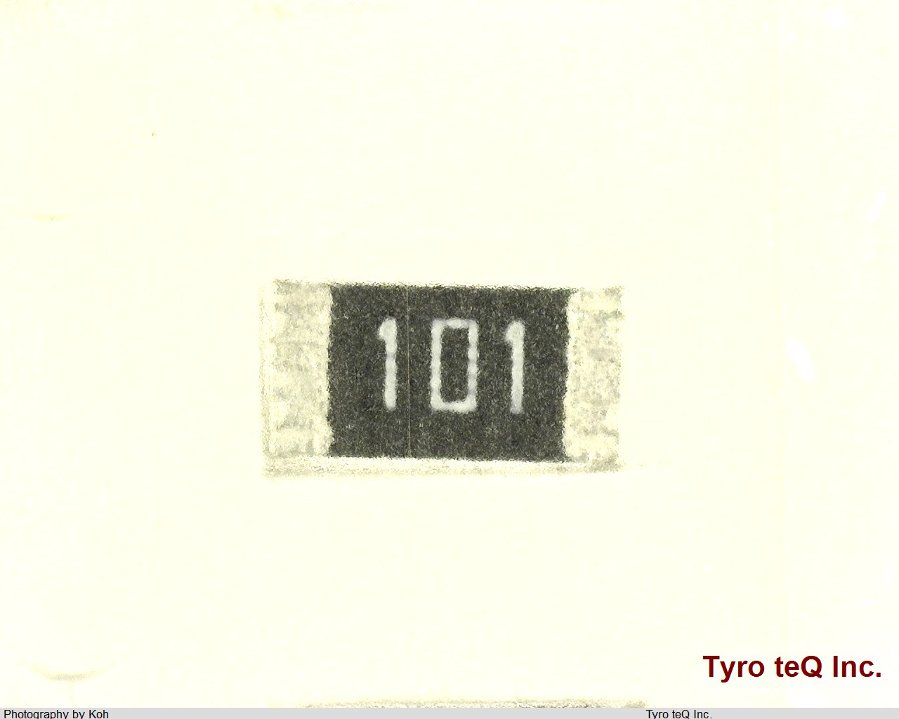 RK73B2BTTD101J
