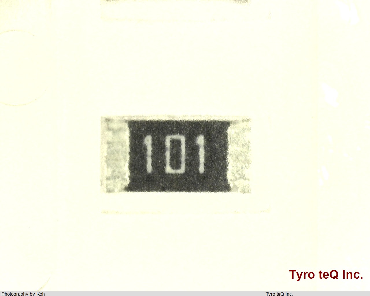 RK73B2BTTD101J